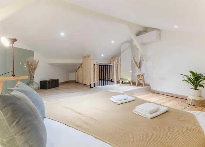 Duplex Des Halles 3 Appartement Pau